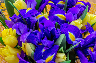 Similar image 10911536