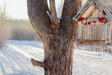 Similar image 10908586