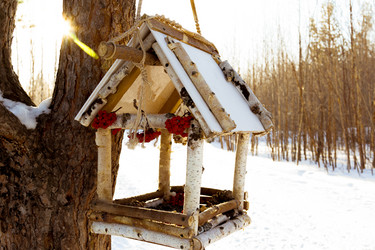 Similar image 10908587