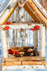 Similar image 10908588