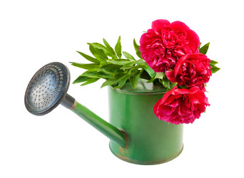 Similar image 10908727