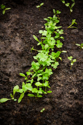 Similar image 10908730