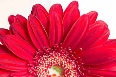 Similar image 10909011