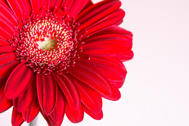 Similar image 10909012