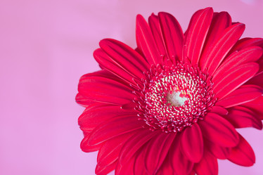 Similar image 10909013