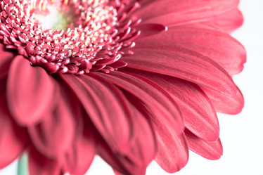 Similar image 10909021