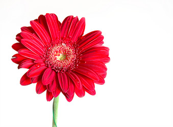 Similar image 10909022