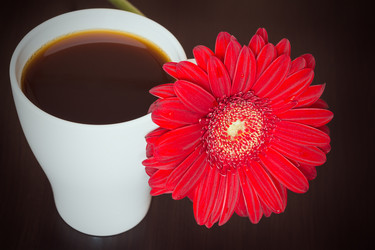 Similar image 10909025