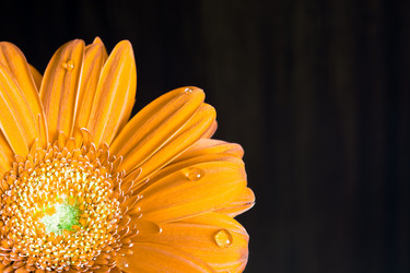 Similar image 10909027