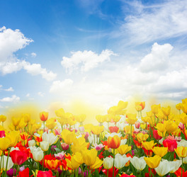 Similar image 10910148