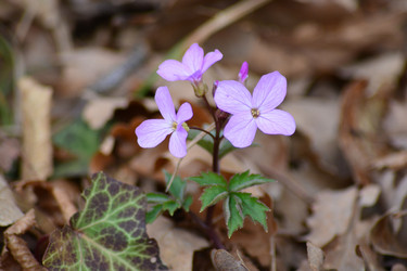 Similar image 10908659