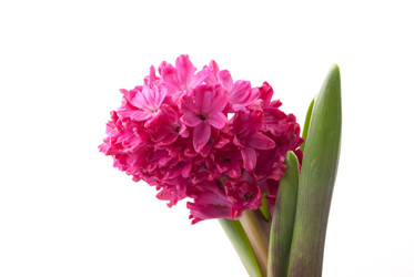 Similar image 10915209