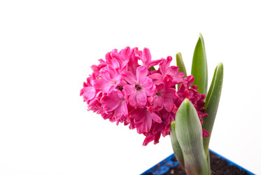 Similar image 10915215