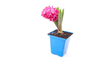 Similar image 10915406