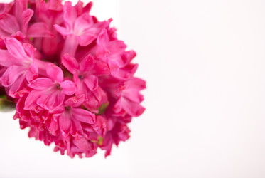 Similar image 10915408