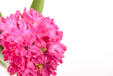 Similar image 10915410