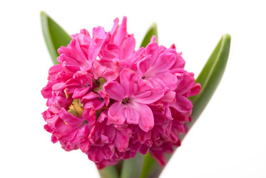 Similar image 10915246