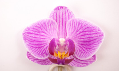 Similar image 10915247