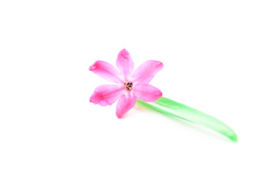 Similar image 10915305