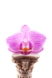 Similar image 10915145