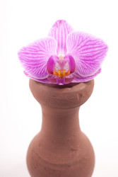 Similar image 10915158