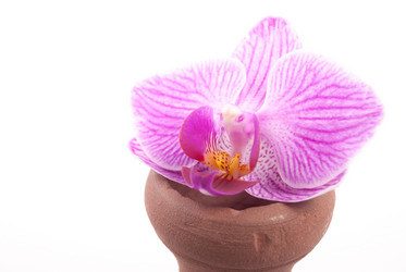 Similar image 10915159