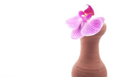 Similar image 10915161