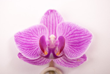 Similar image 10915235