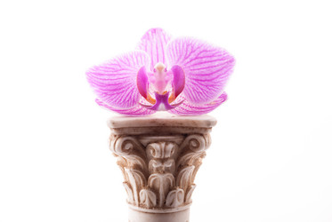 Similar image 10915236