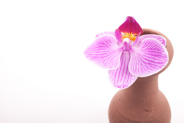 Similar image 10915237