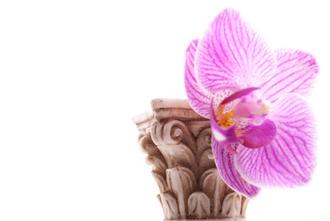 Similar image 10915414