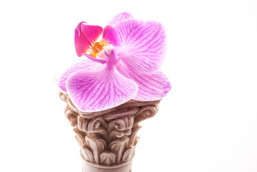 Similar image 10915417