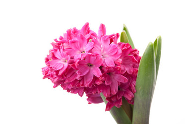 Similar image 10915252