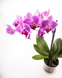 Similar image 10915253