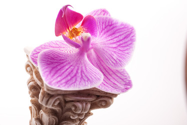 Similar image 10915256