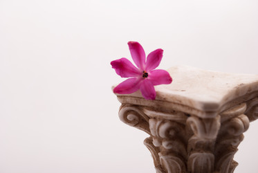 Similar image 10915260