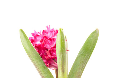 Similar image 10915454