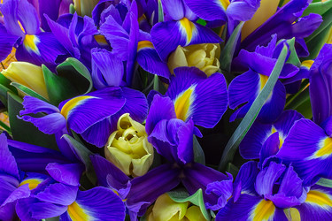 Similar image 10911545