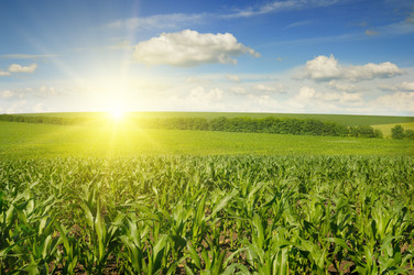 Similar image 10911909