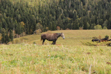 Similar image 10911389