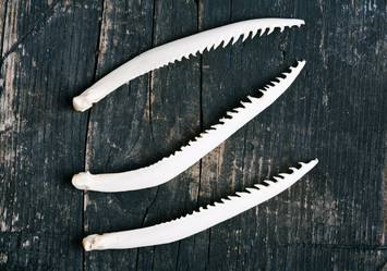 Similar image 10910833