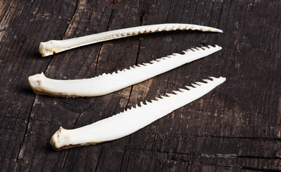 Similar image 10910809