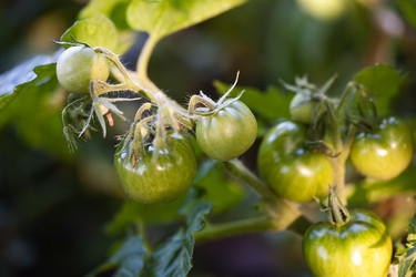 Similar image 10914808