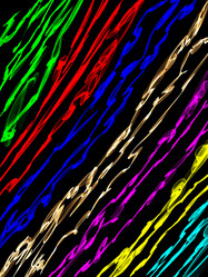 Similar image 10911494