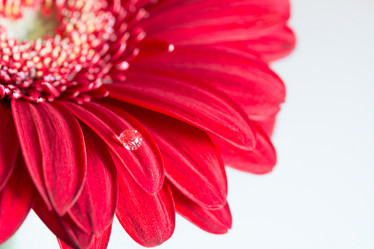 Similar image 10911335