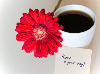 Similar image 10911336