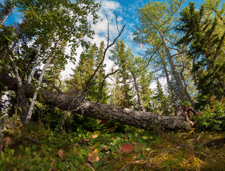 Similar image 10911773