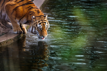 Similar image 10911358