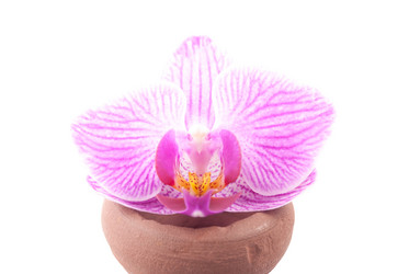 Similar image 10915527