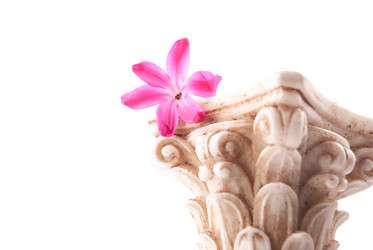 Similar image 10915532